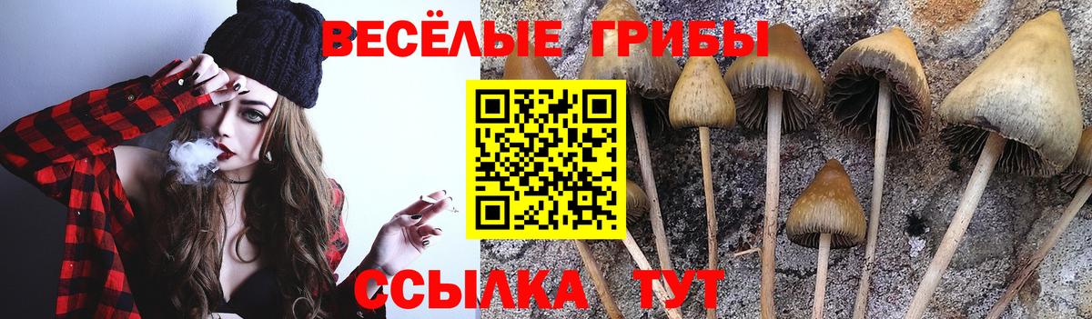 Галлюциногенные грибы мухоморы Кстово