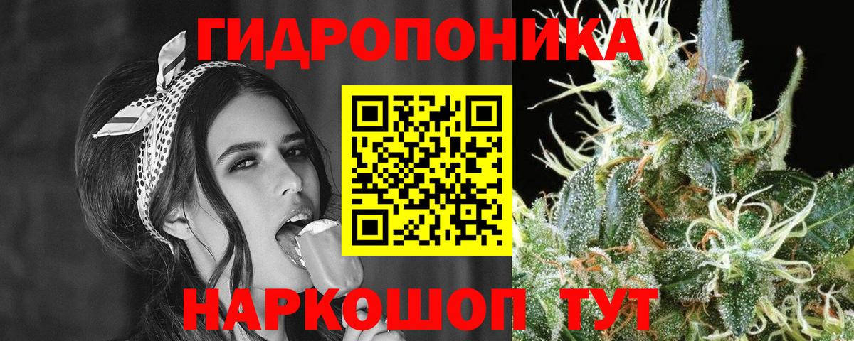 Канабис индика  Каннабис планчик  Марихуана тримм  Вход с VPN  Кстово 